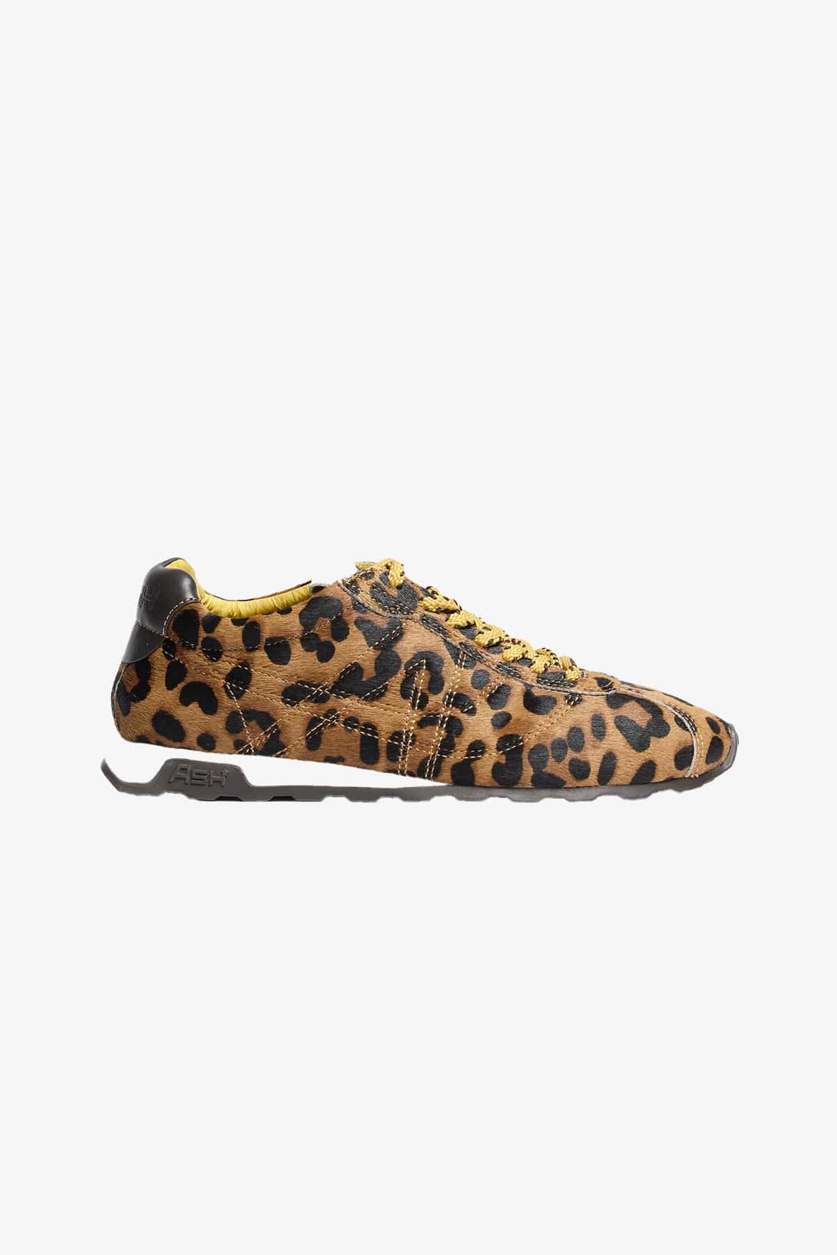 ASH SNEAKERS PONY LEOPARD BROWN / 35 Sneakers basse donna Ash Killbill07