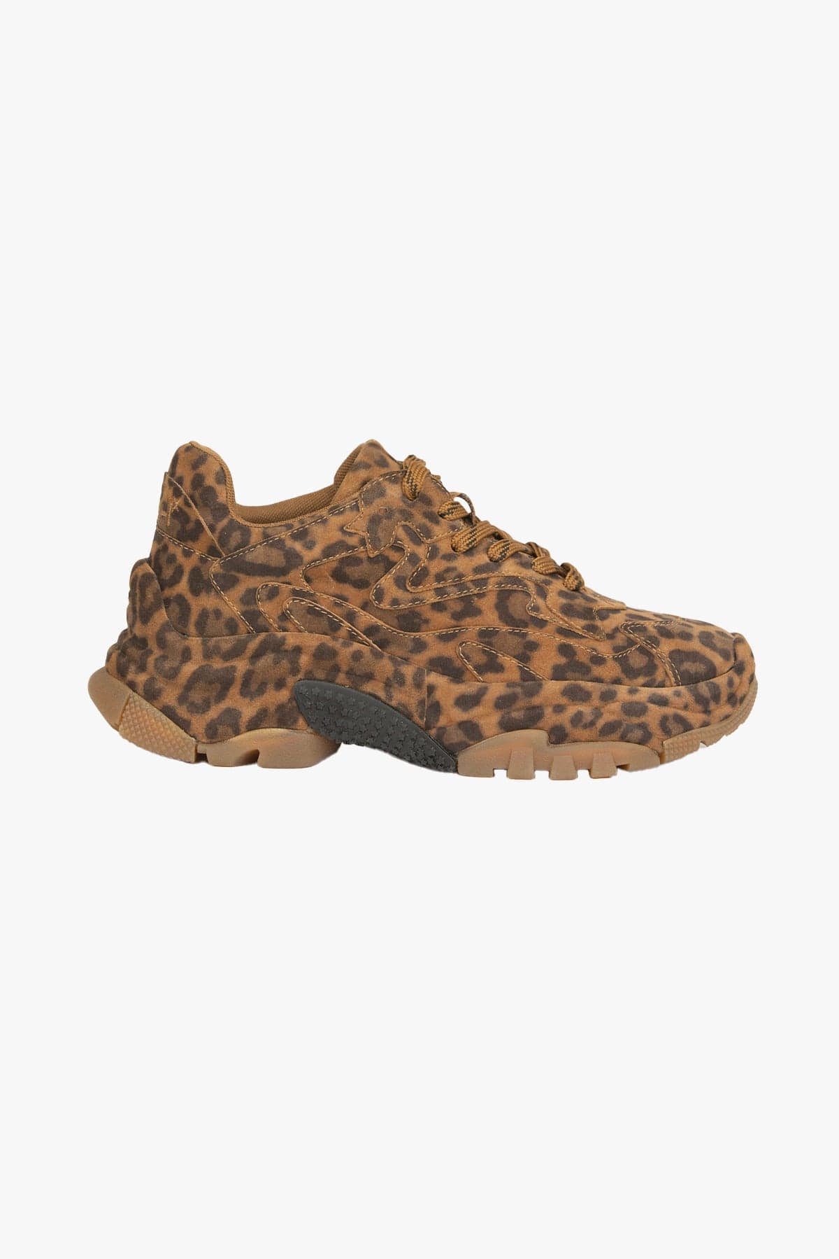 ASH CALZATURE  LEOPARDATO / 35 Sneakers leopardate Ash Addictbis02