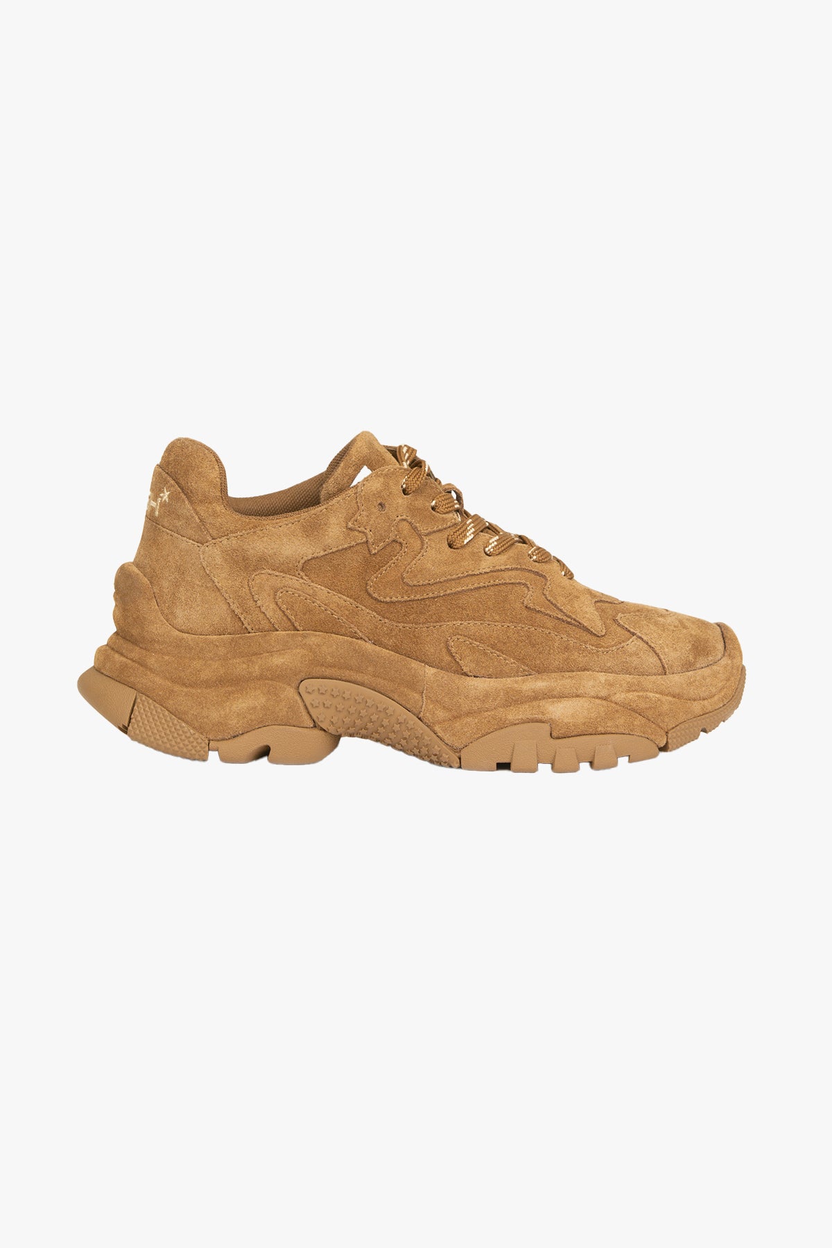 ASH CALZATURE  NOISETTE / 35 Sneaker noisette Ash Addictbis03