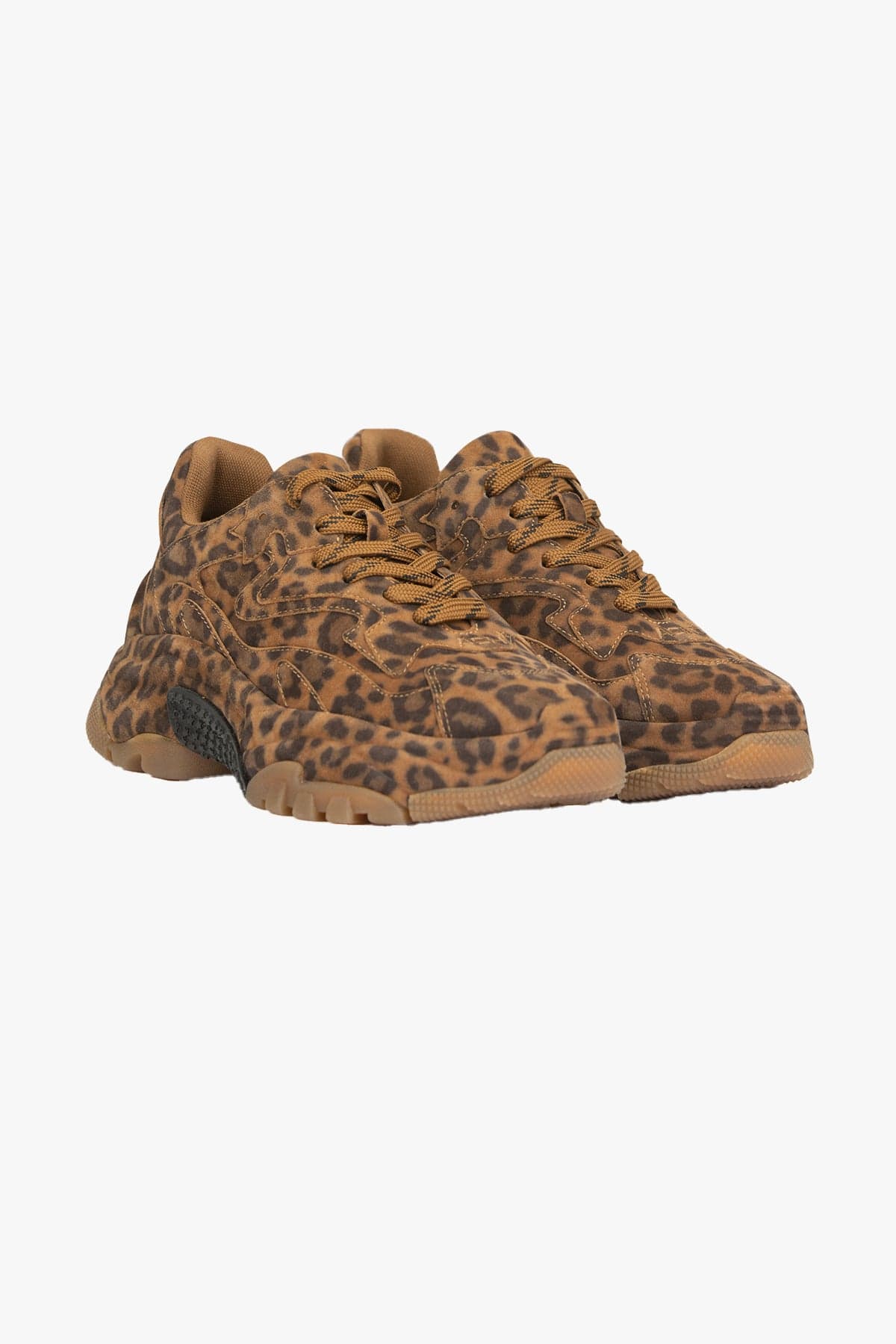 ASH CALZATURE  Sneakers leopardate Ash Addictbis02