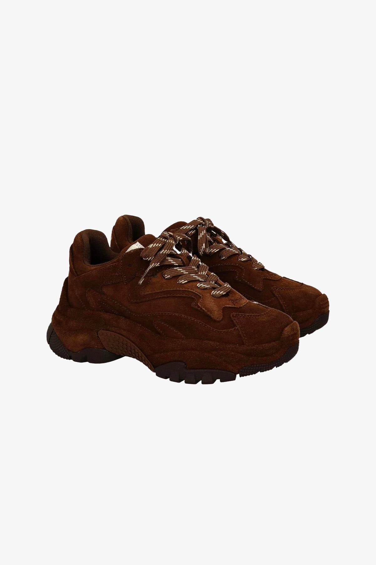 ASH SNEAKERS Sneakers in suede marrone donna Ash Addict