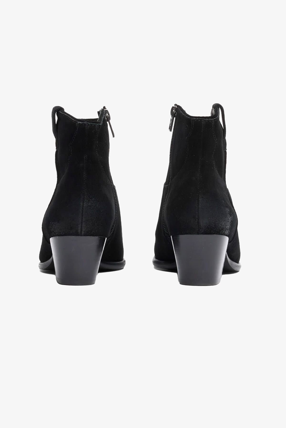 ASH SNEAKERS Stivali bassi donna Ash in suede nero Fame